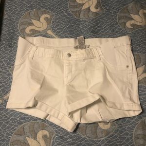 Liz Lange Maternity Shorts